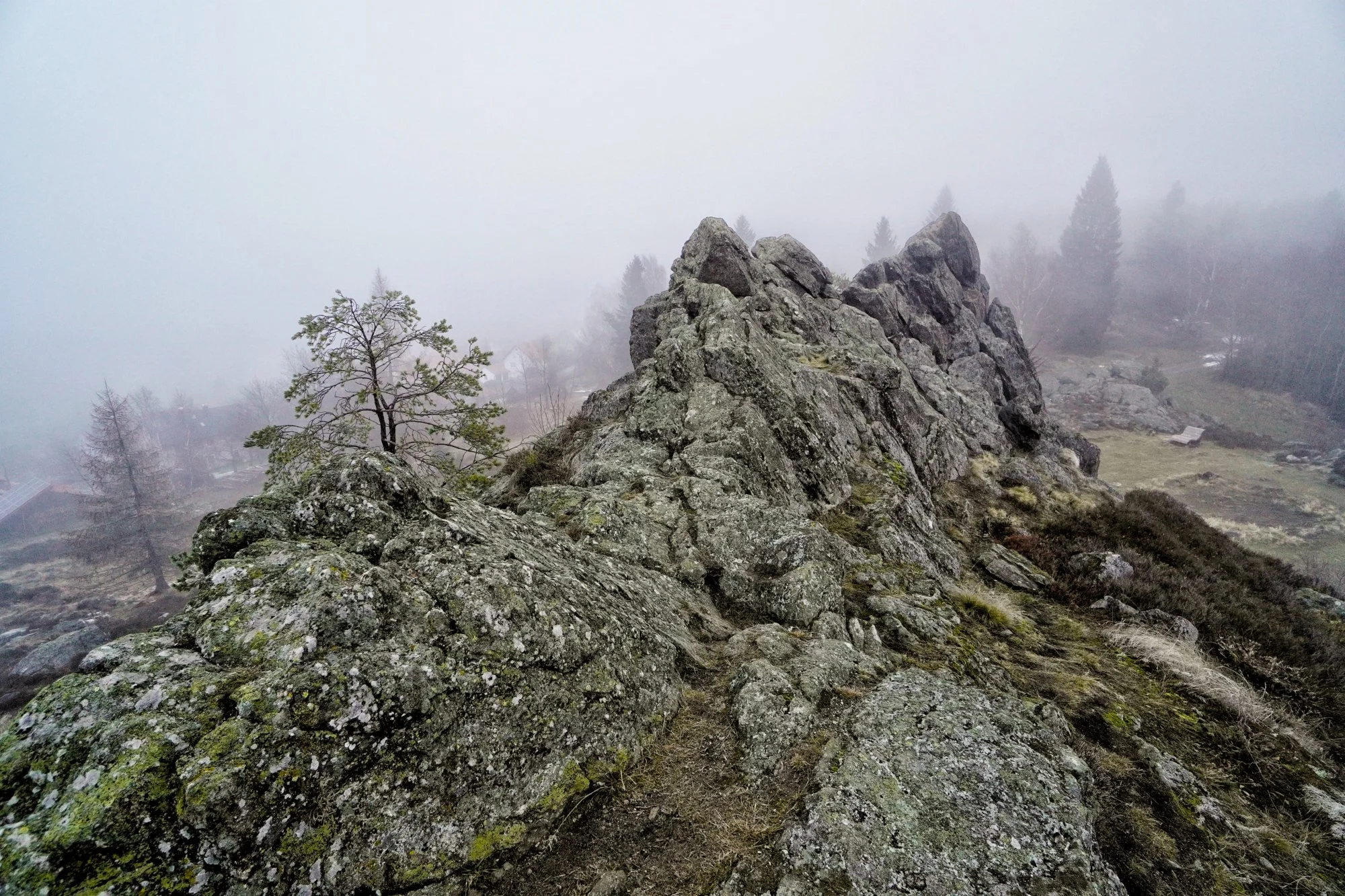 Felsenthron im Nebel – Dramatische Heidelandschaft