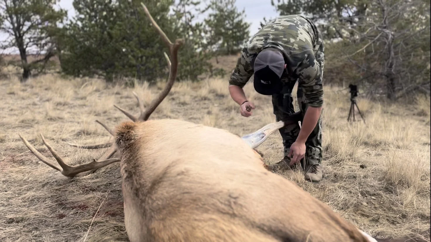 What to bring on a Guided Elk Hunt GuideTime