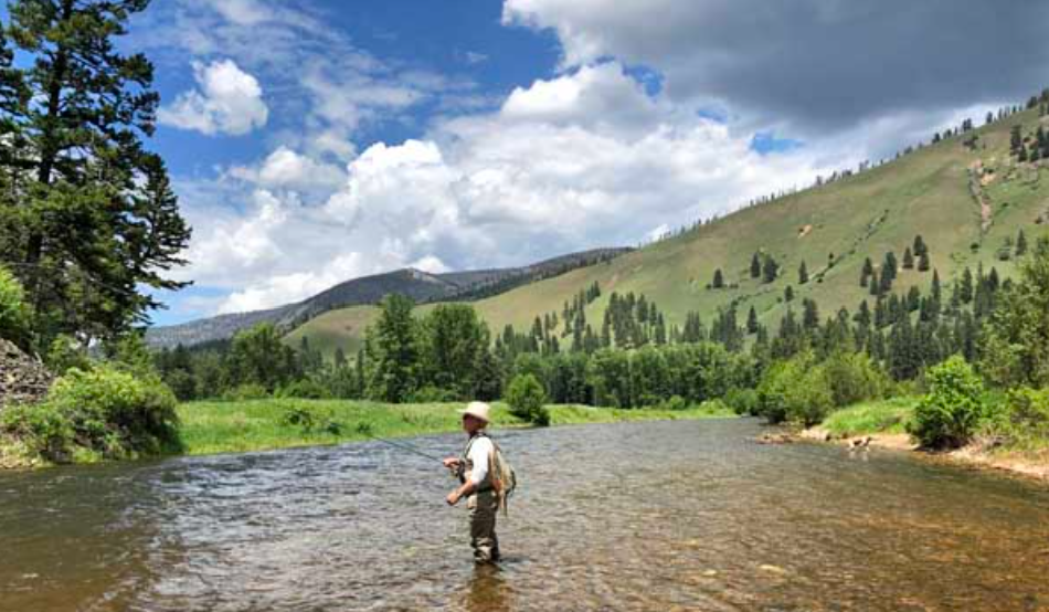 Yellowstone River Fly-Fishing Guide