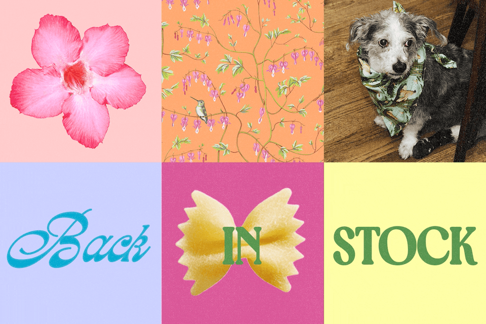 Targeted Email/ SMS Design