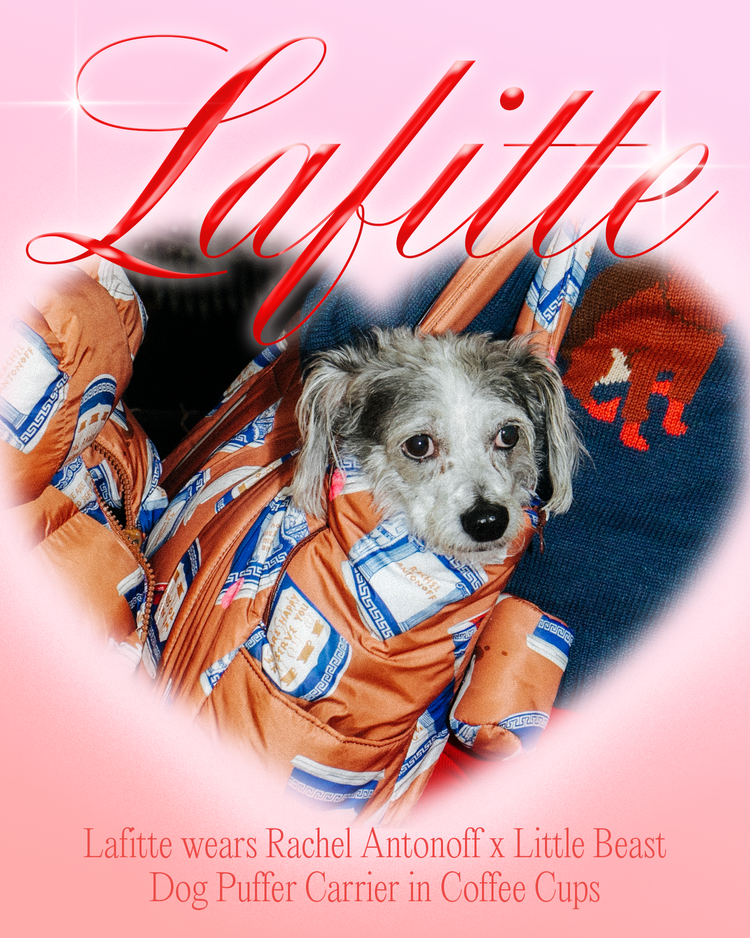 Little Beast Collab Design Direction