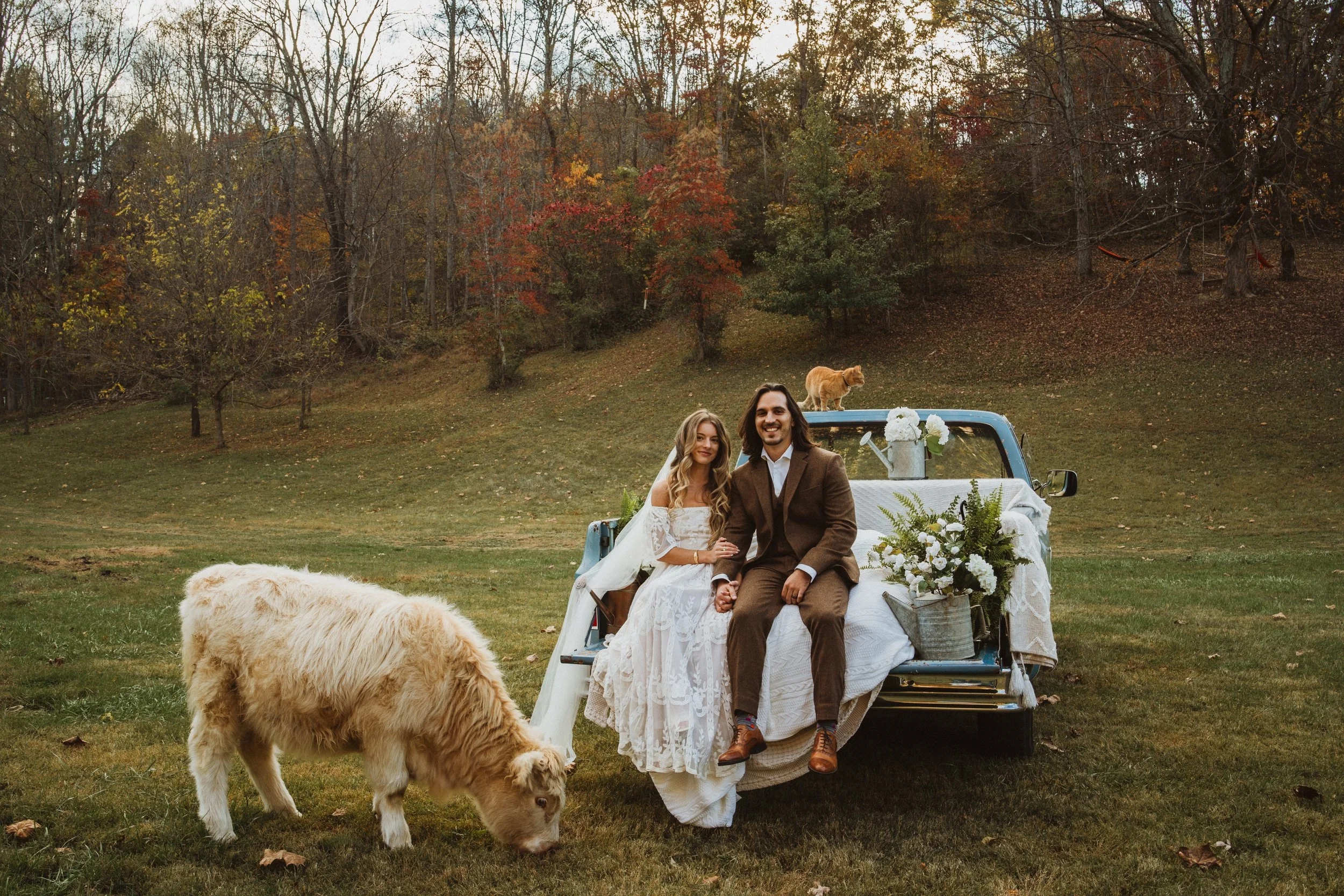 A couple dressed in wedding attire sitting on the back of a vintage blue truck decorated with white flowers and greenery, in an outdoor grassy field surrounded by trees with autumn leaves. A golden retriever puppy grazes nearby, and an orange tabby cat sits on top of the truck.