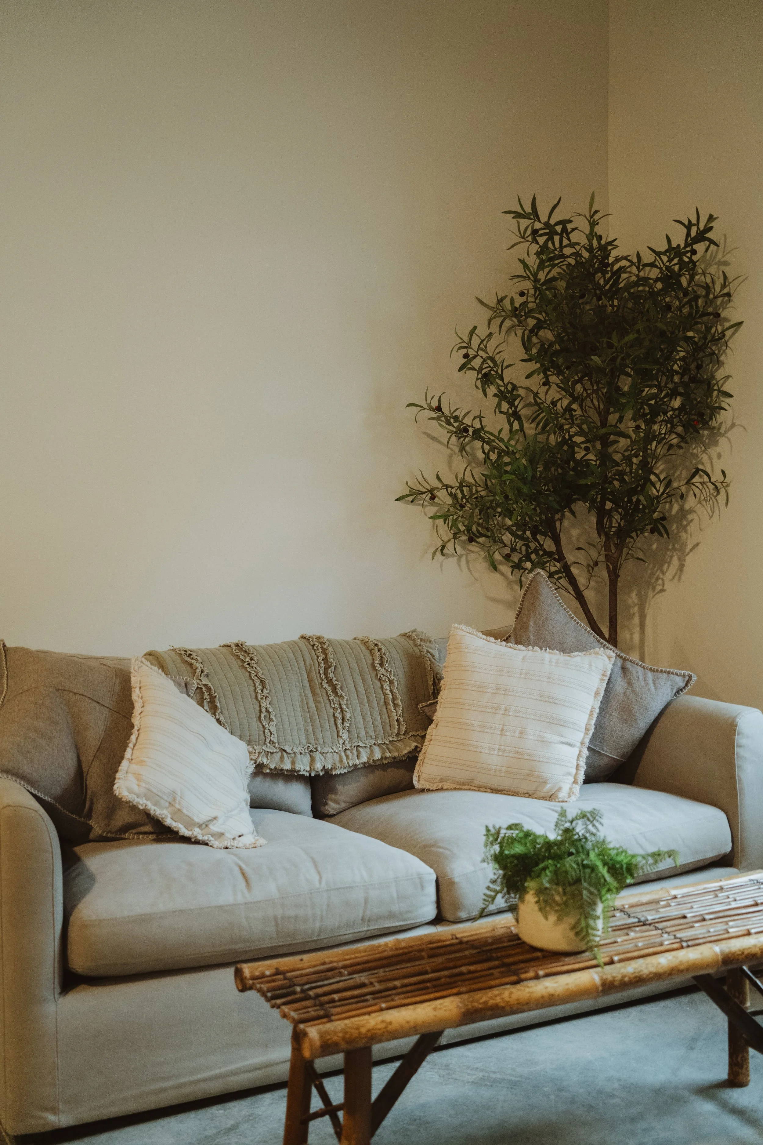 Living room with a beige sofa, white and gray pillows, a wood coffee table with a potted fern, and a tall plant in the corner.