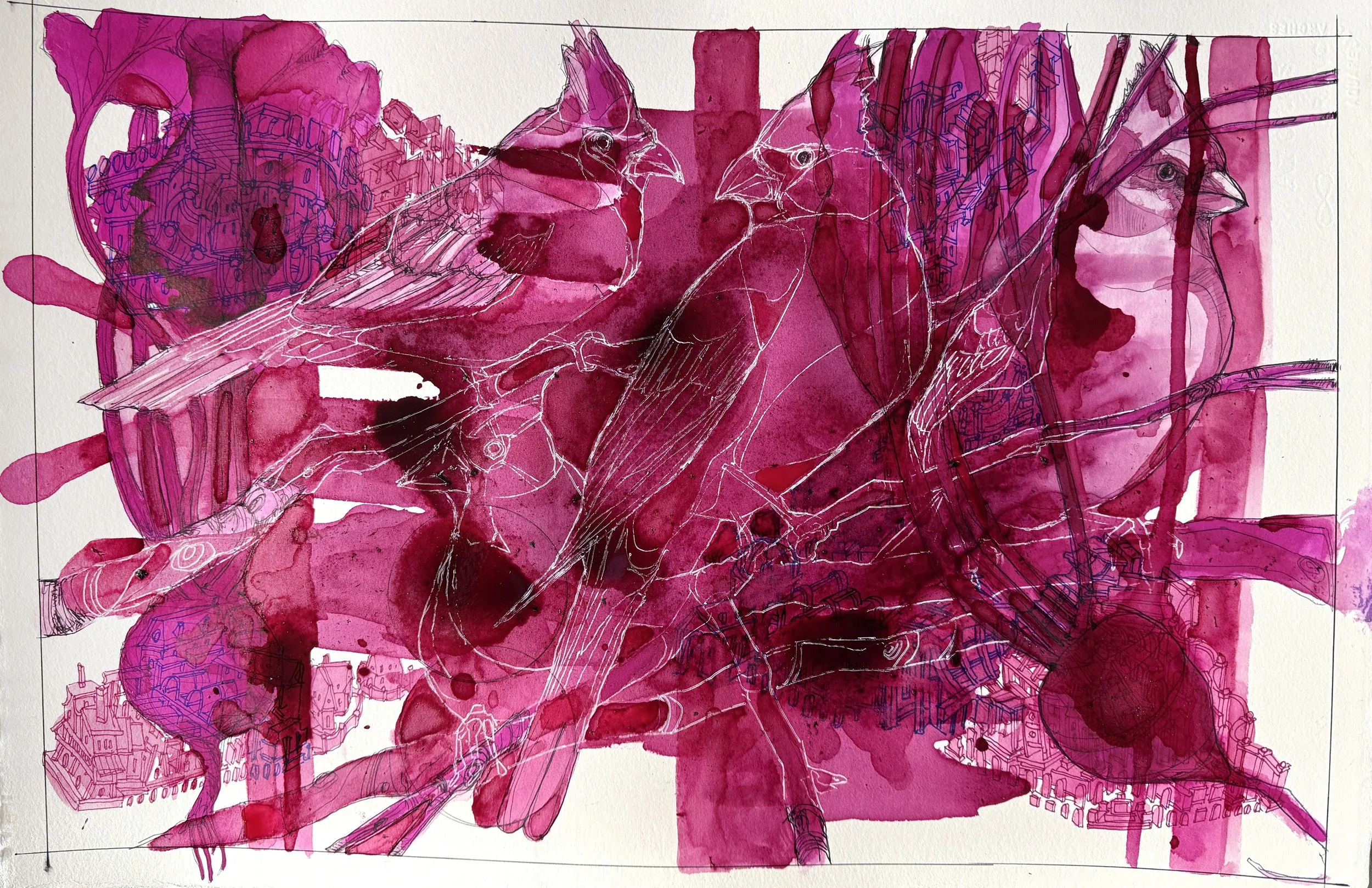 Cardinals and Beets (beet juice, ink, on Arches paper)
