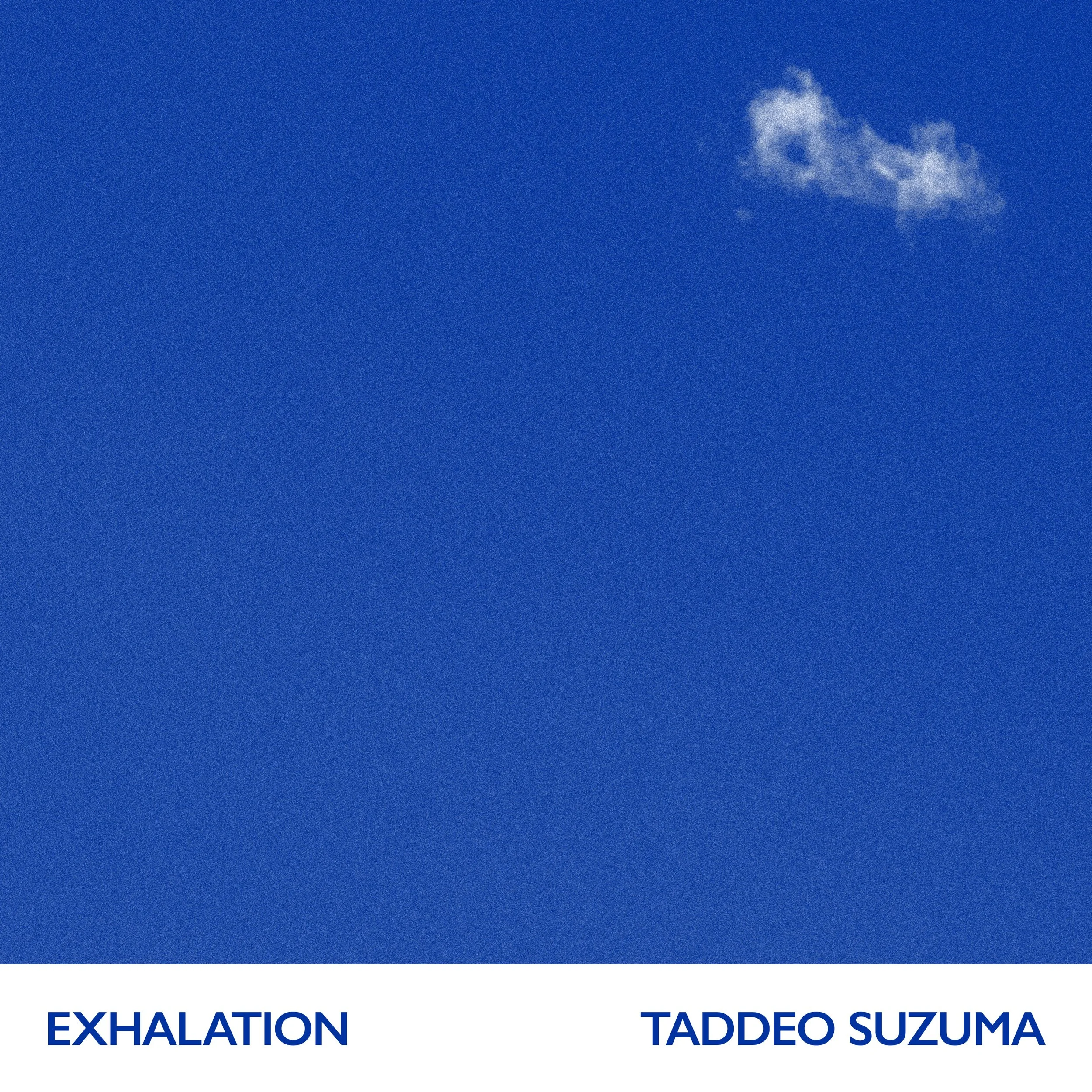 Taddeo Suzuma - Exhalation_V1_02.jpg