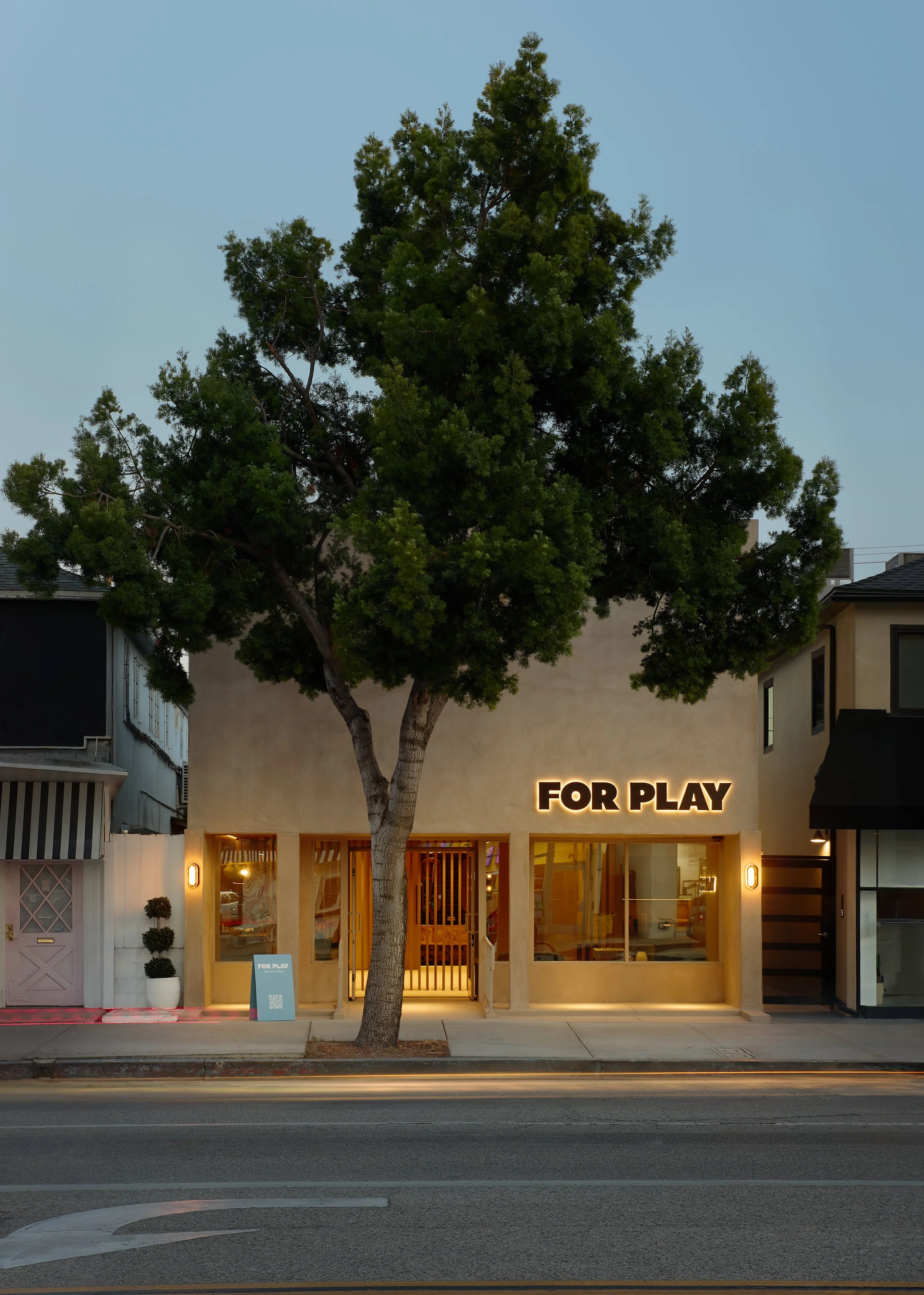 FOR PLAY0233.jpg