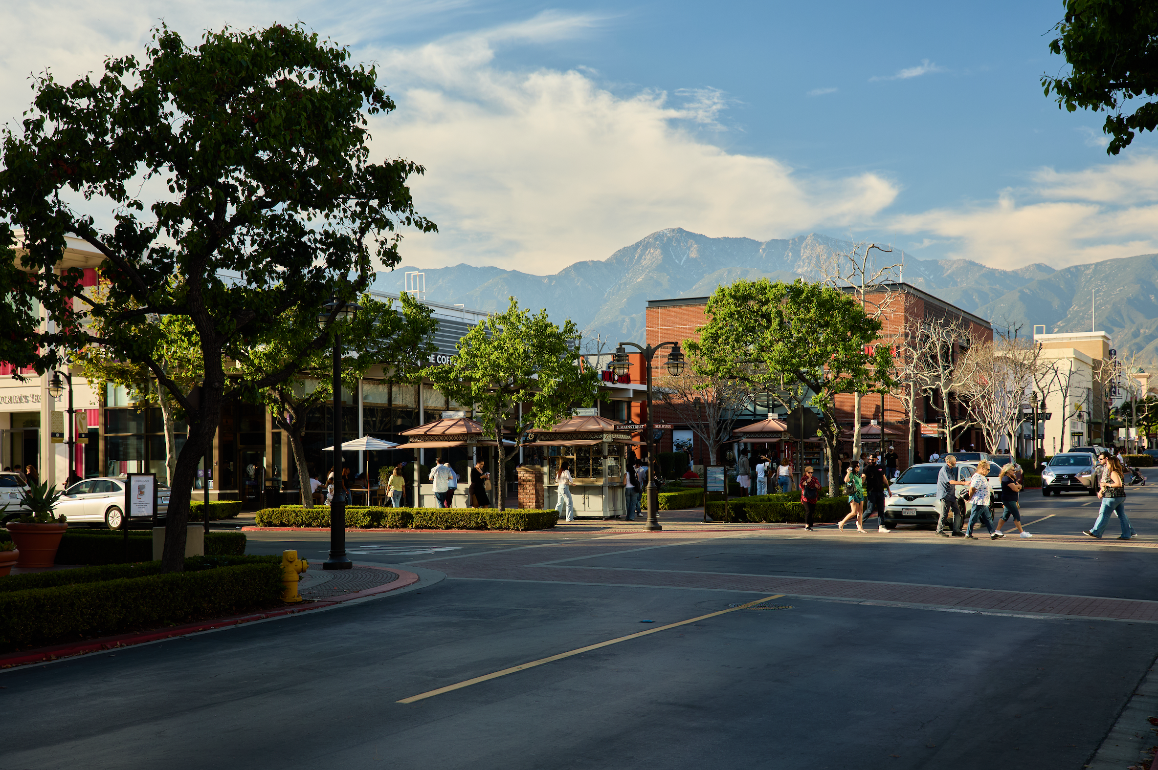 Screenshot 2026-03-20 at 5.43.45 PM.png