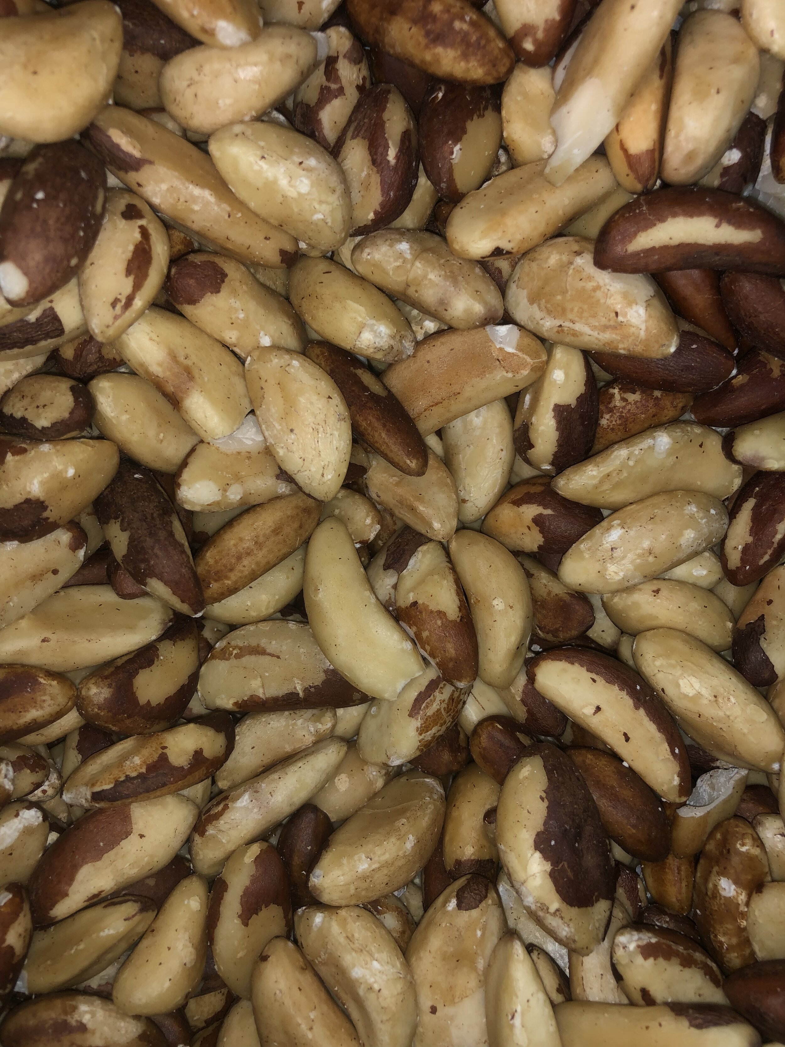 Brazil nuts.jpeg