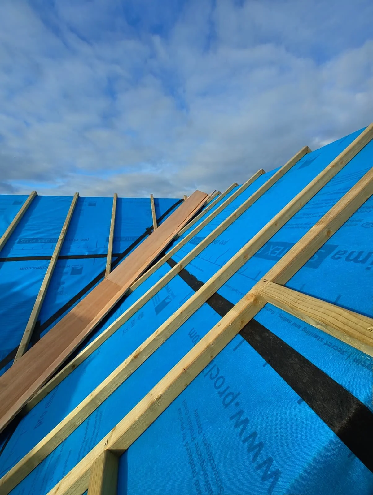 WhatsApp Image 2025-12-11 at 15.31.00.jpeg