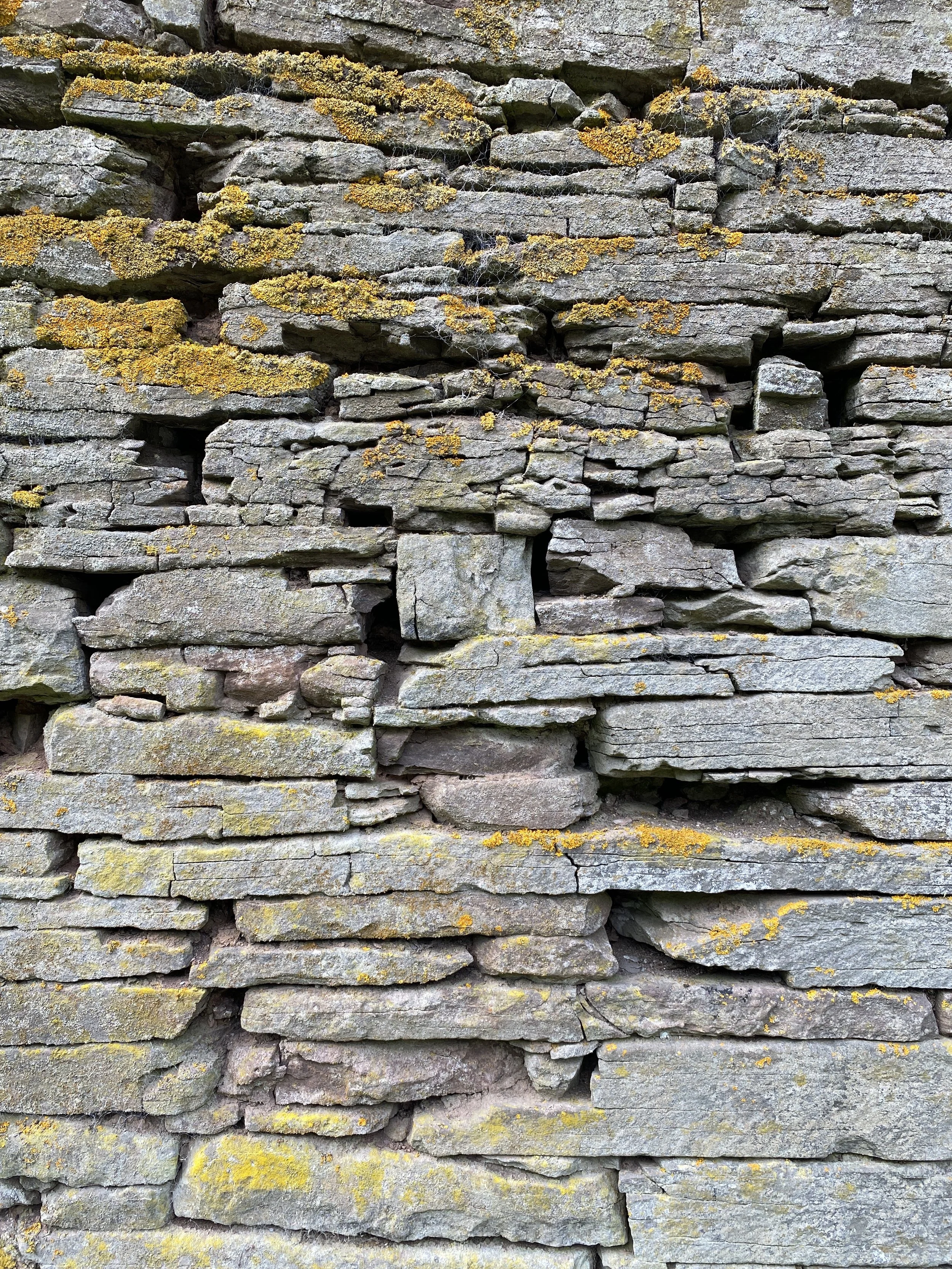 Penymoor Farm - Textures 7 - Arbor Architects.JPG
