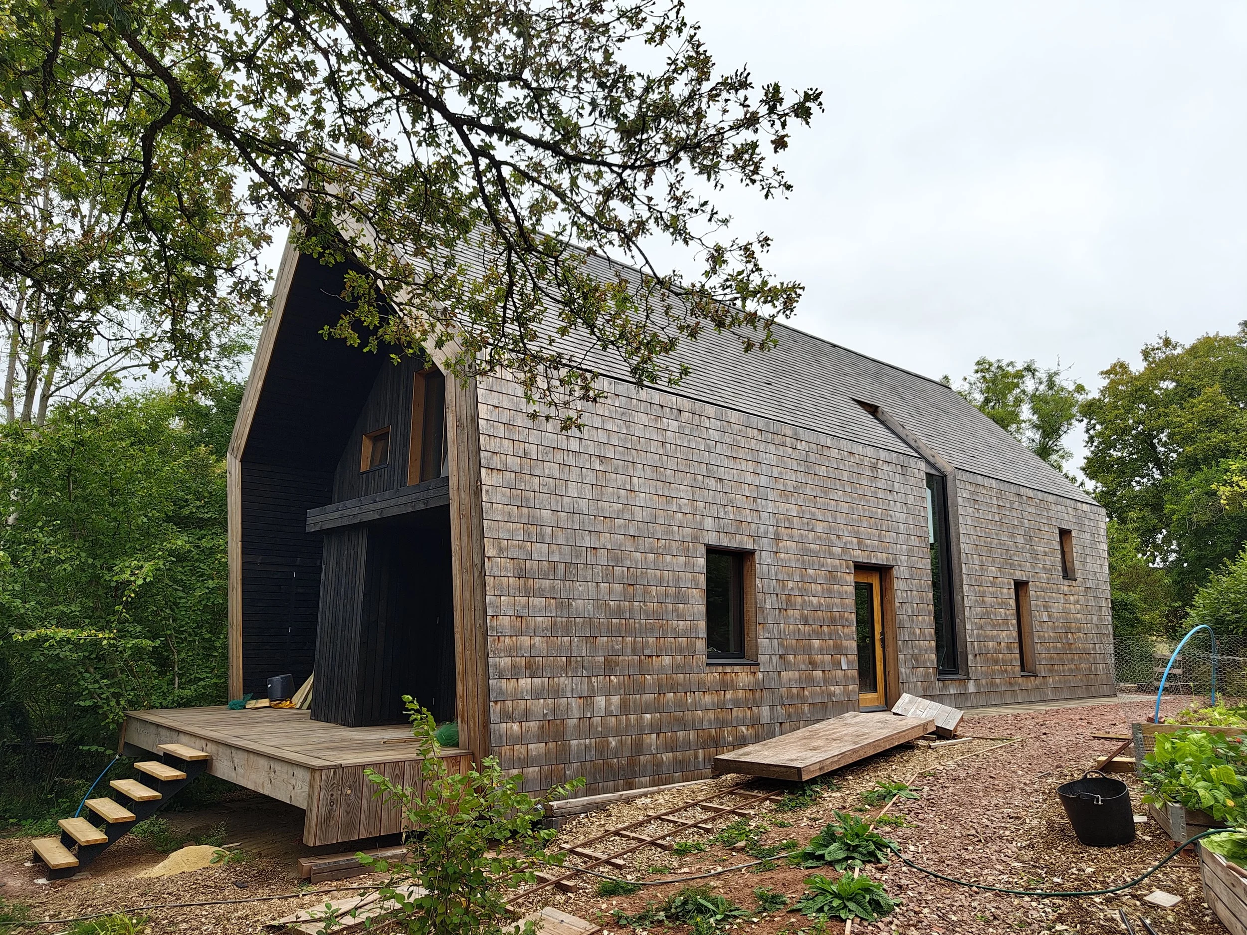 The Armadillo House
