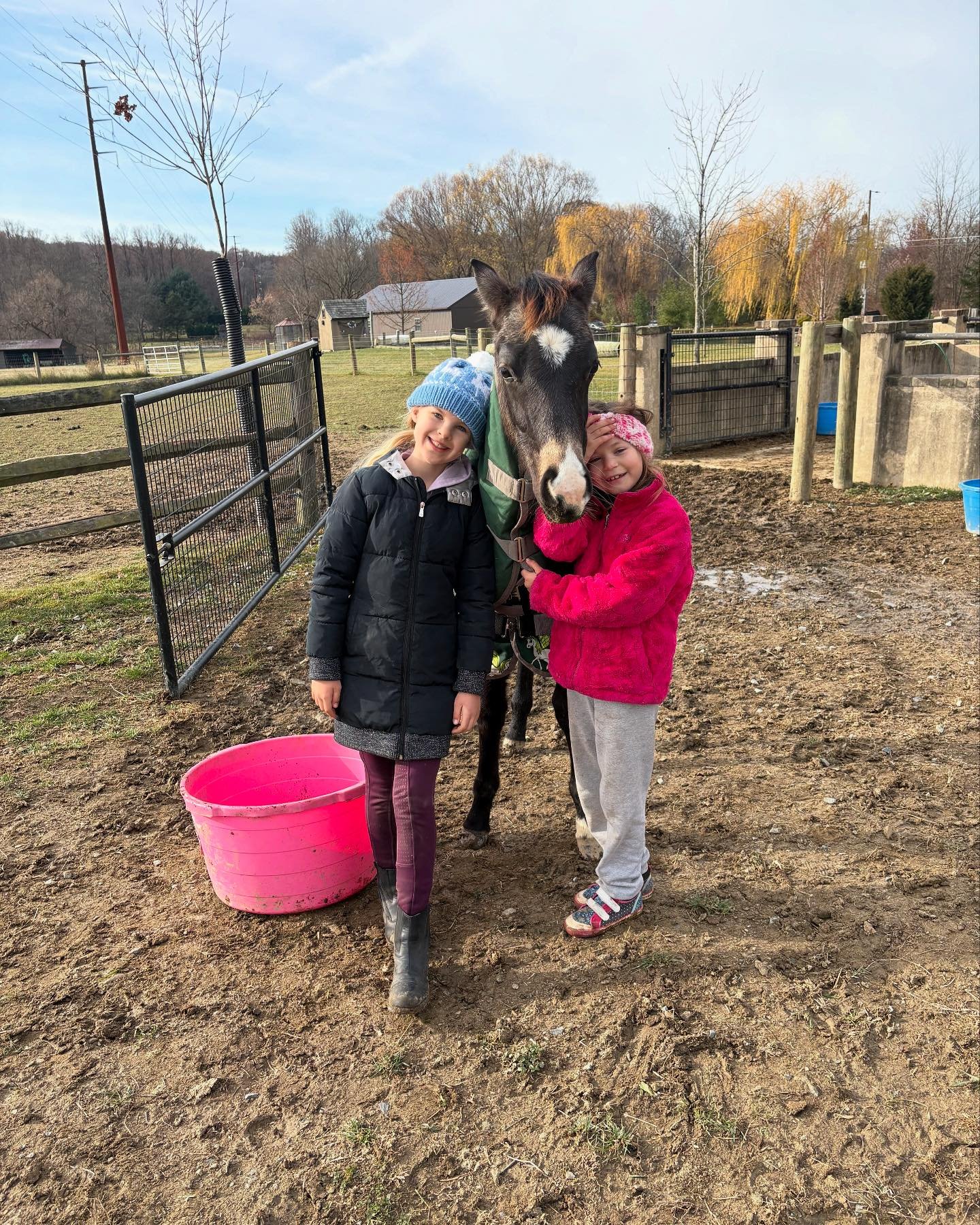 Happy Thanksgiving 🦃

#royaltsporthorses #turkeyday #babies #welsh #welshponyandcobsociety thankful