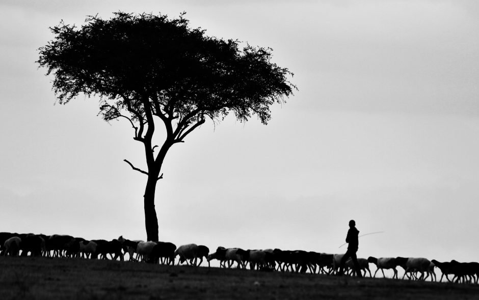 Master the Minimal