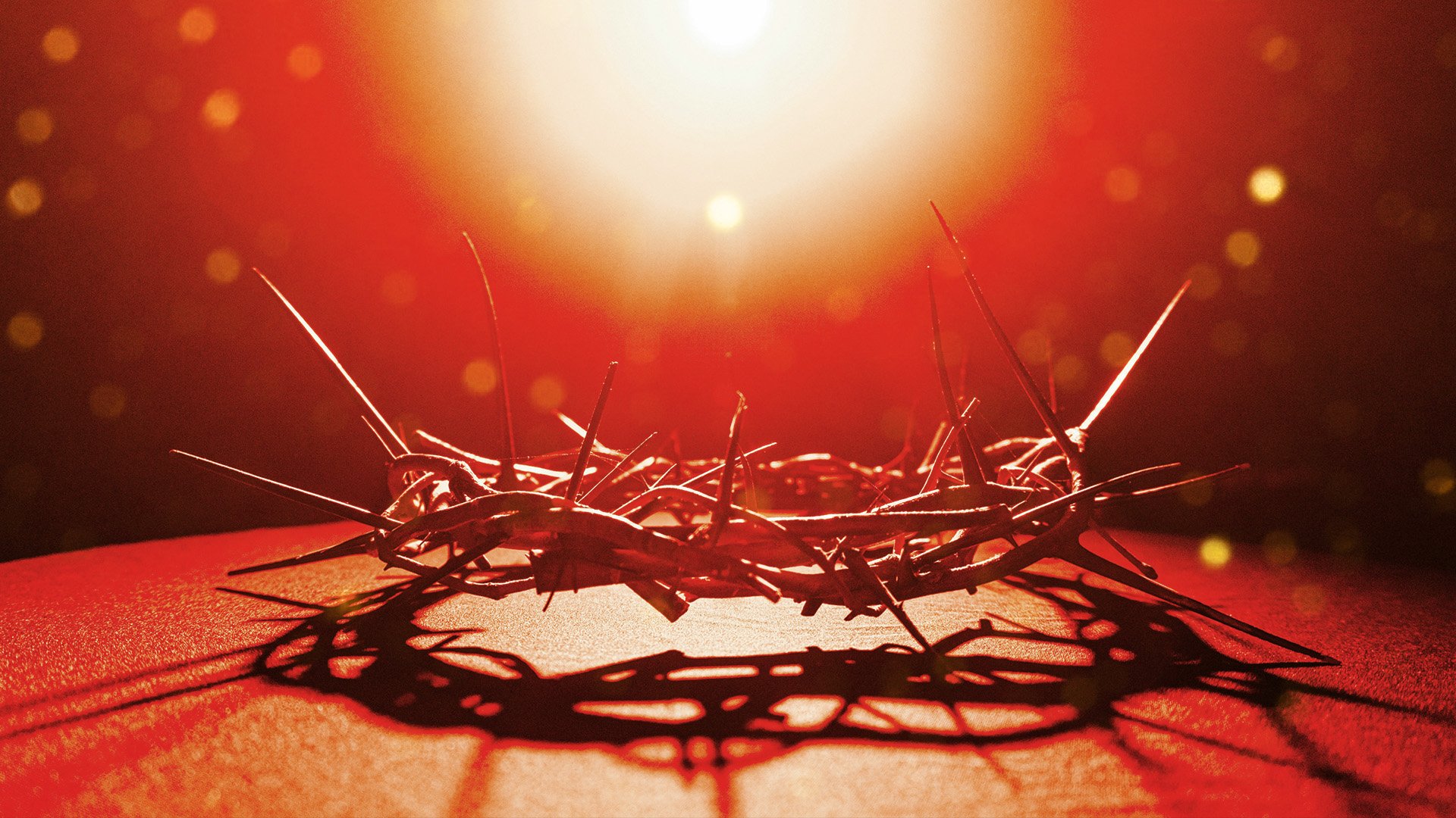 God’s End-Times Plan for the Nations: Judgment, Reformation, and the Reign of Christ