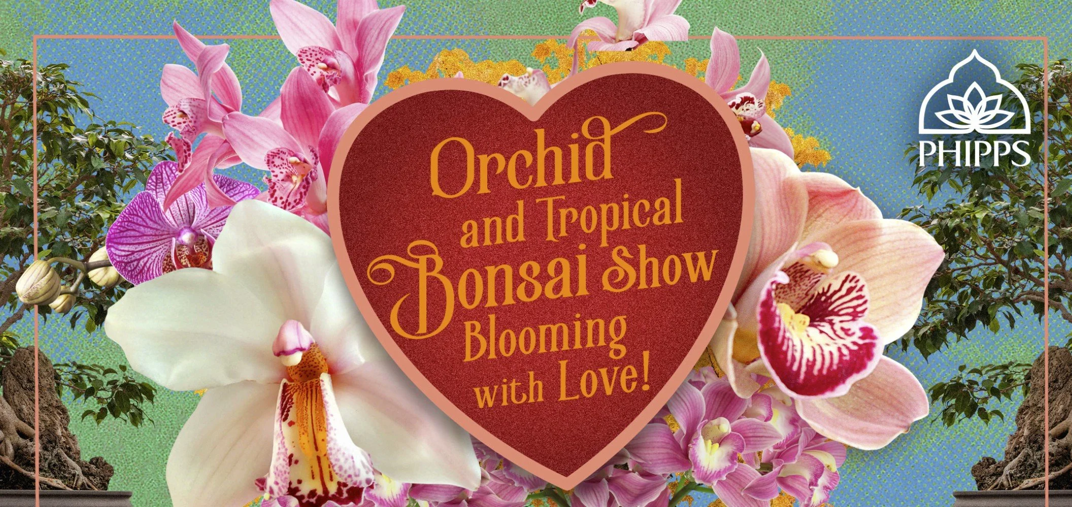 Orchid and Tropical Bonsai Show: Blooming with Love