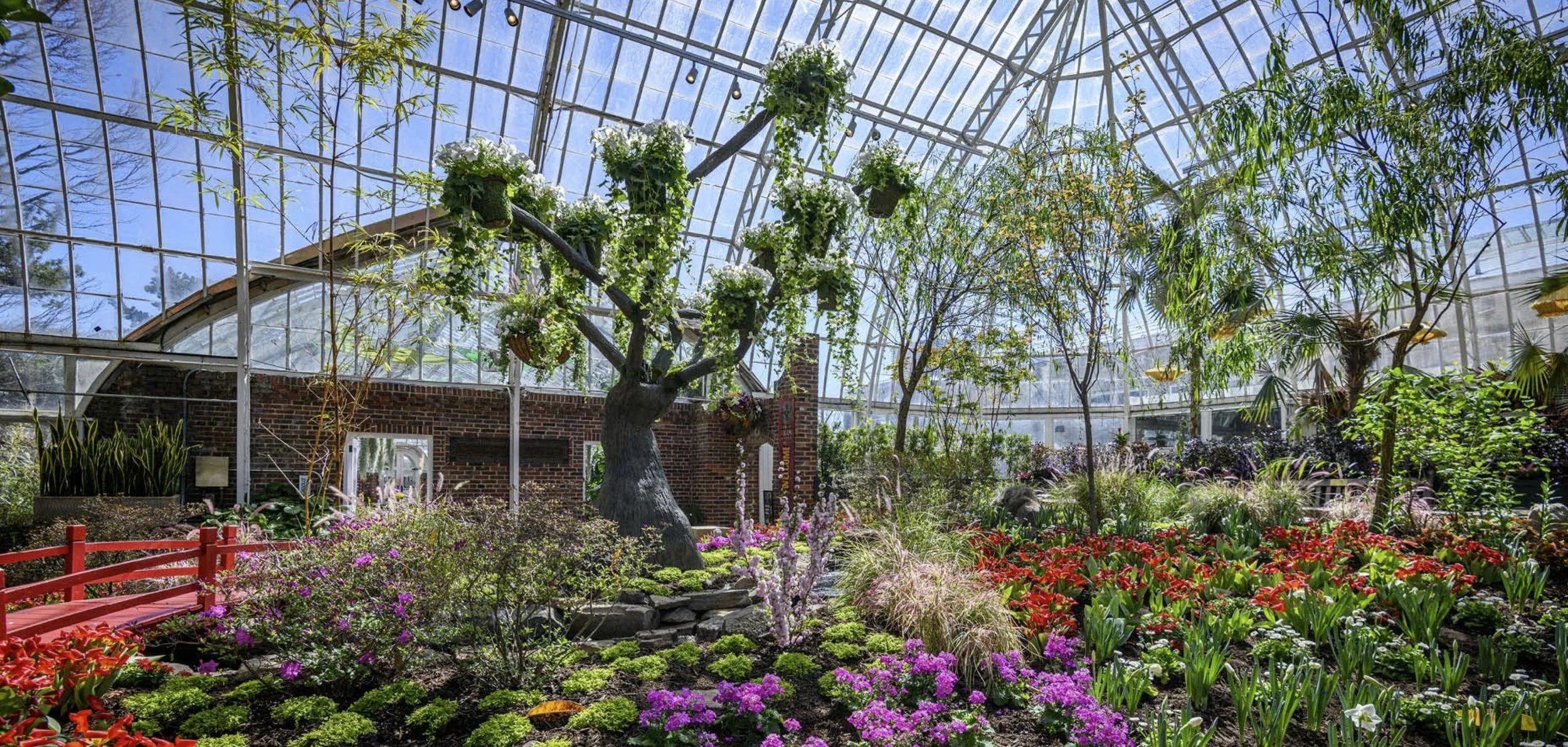 Spring Flower Show: True Colors