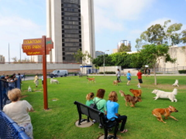 Uptown Dog Park