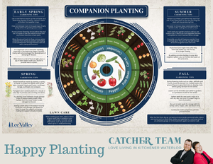 Companion Planting 