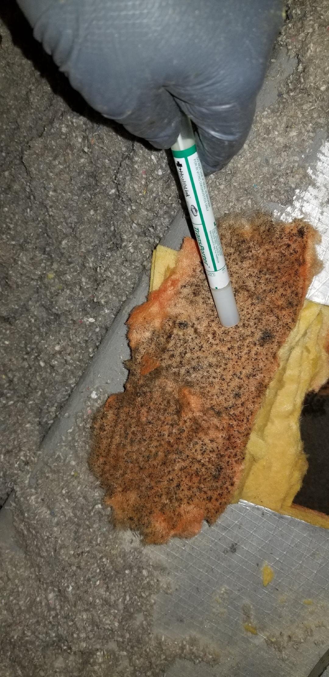 Swab Surface Sampling