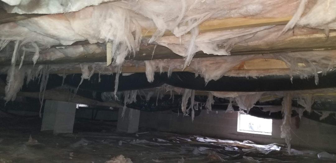 Crawlspace Inspections-Insulation Damage