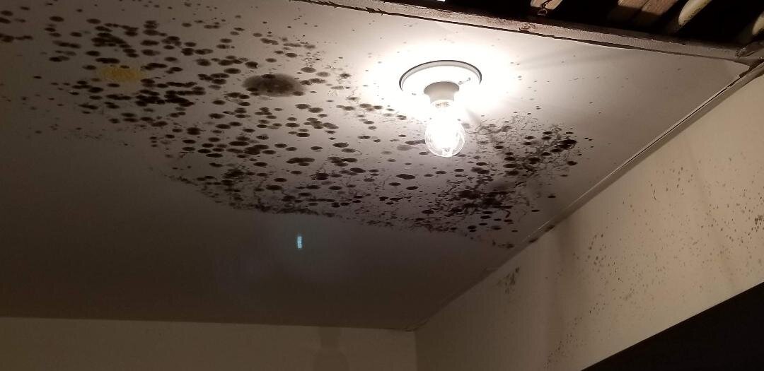 Mold on Interior Component