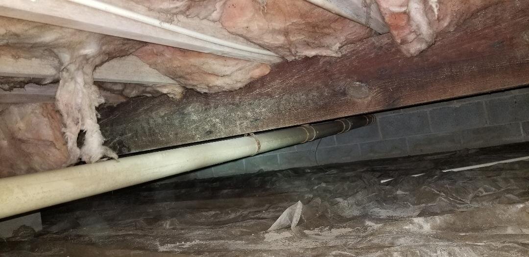 Crawlspace Inspection-Mold
