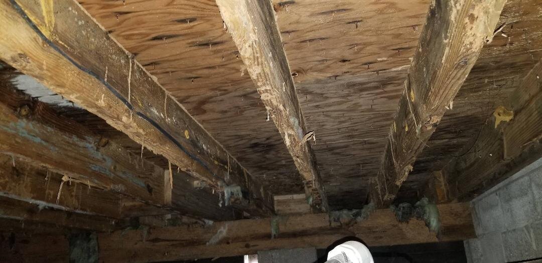 Crawlspace Inspections-Mold
