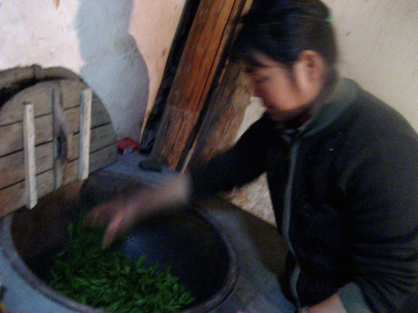 hand firing green tea in China