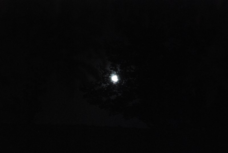 Full moon for Mid-Autumn Festival