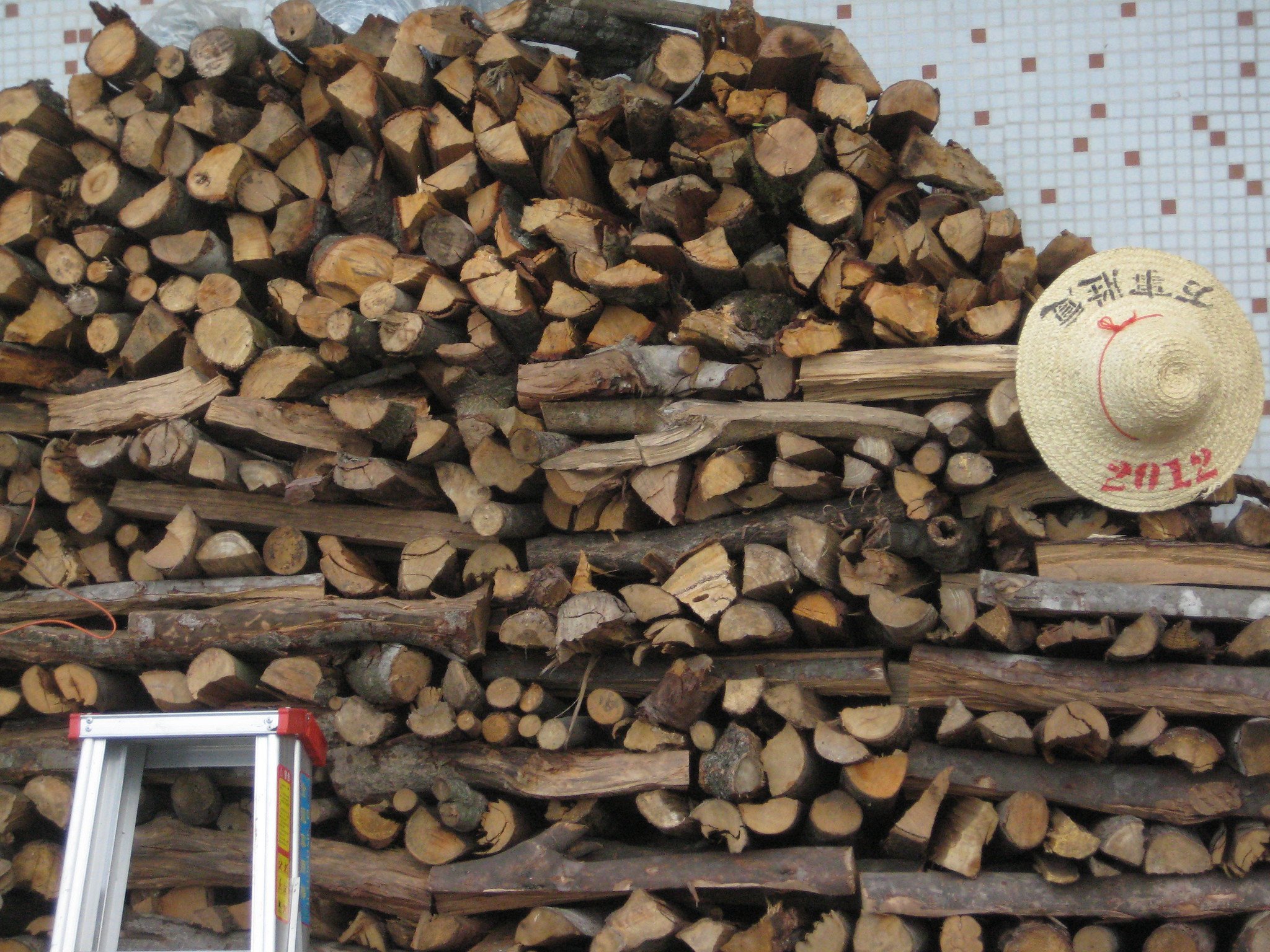Firewood stacked outside