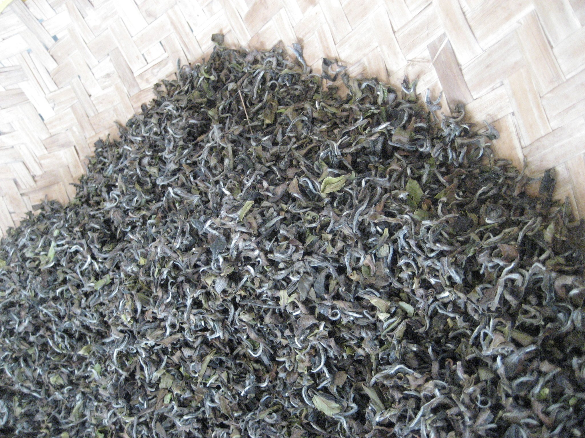 Up Close on Finished Dongfang Mei Ren oolong tea