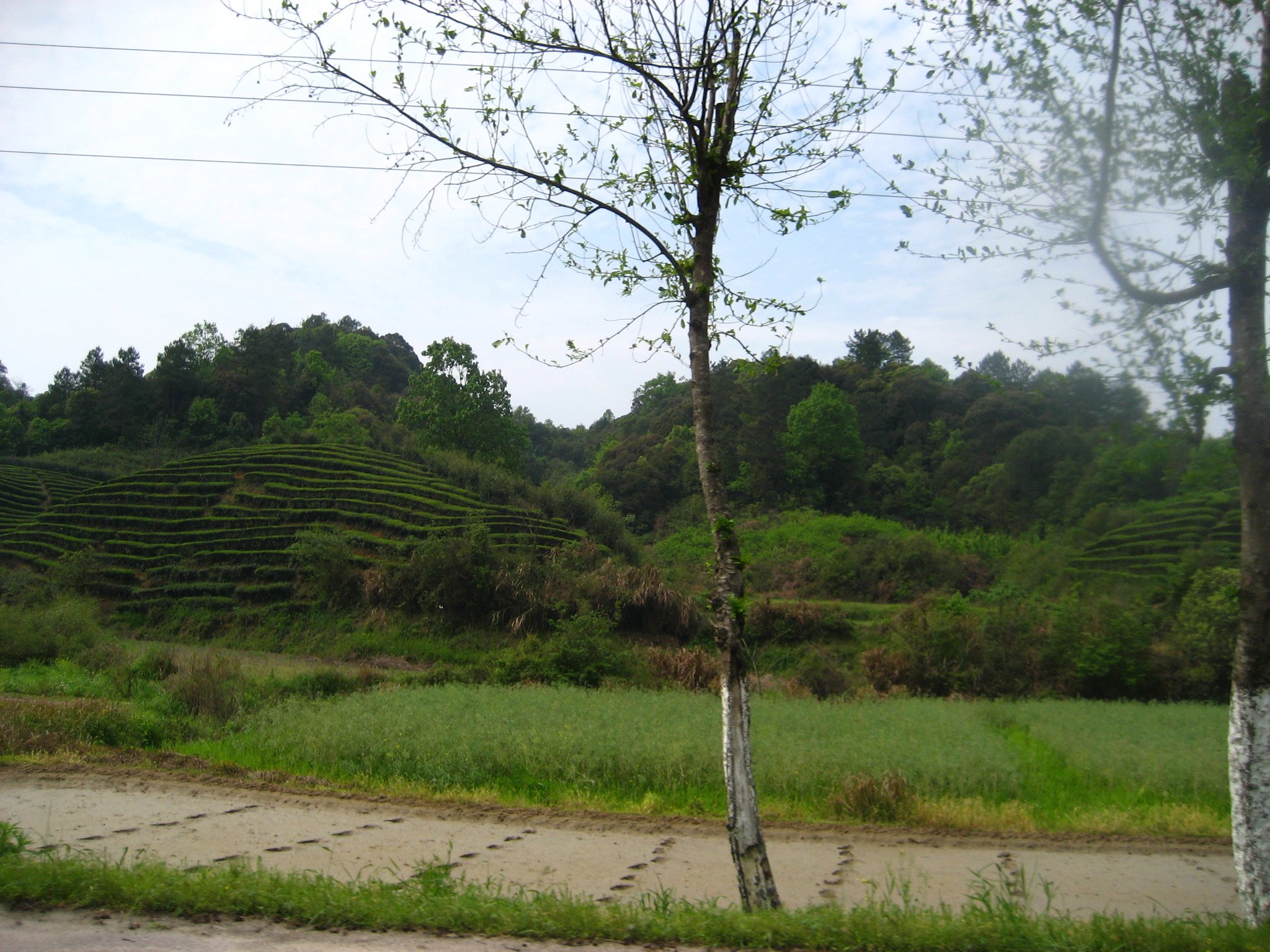  Wuyuan, Jiangxi © 2010, Tranquil Tuesdays 