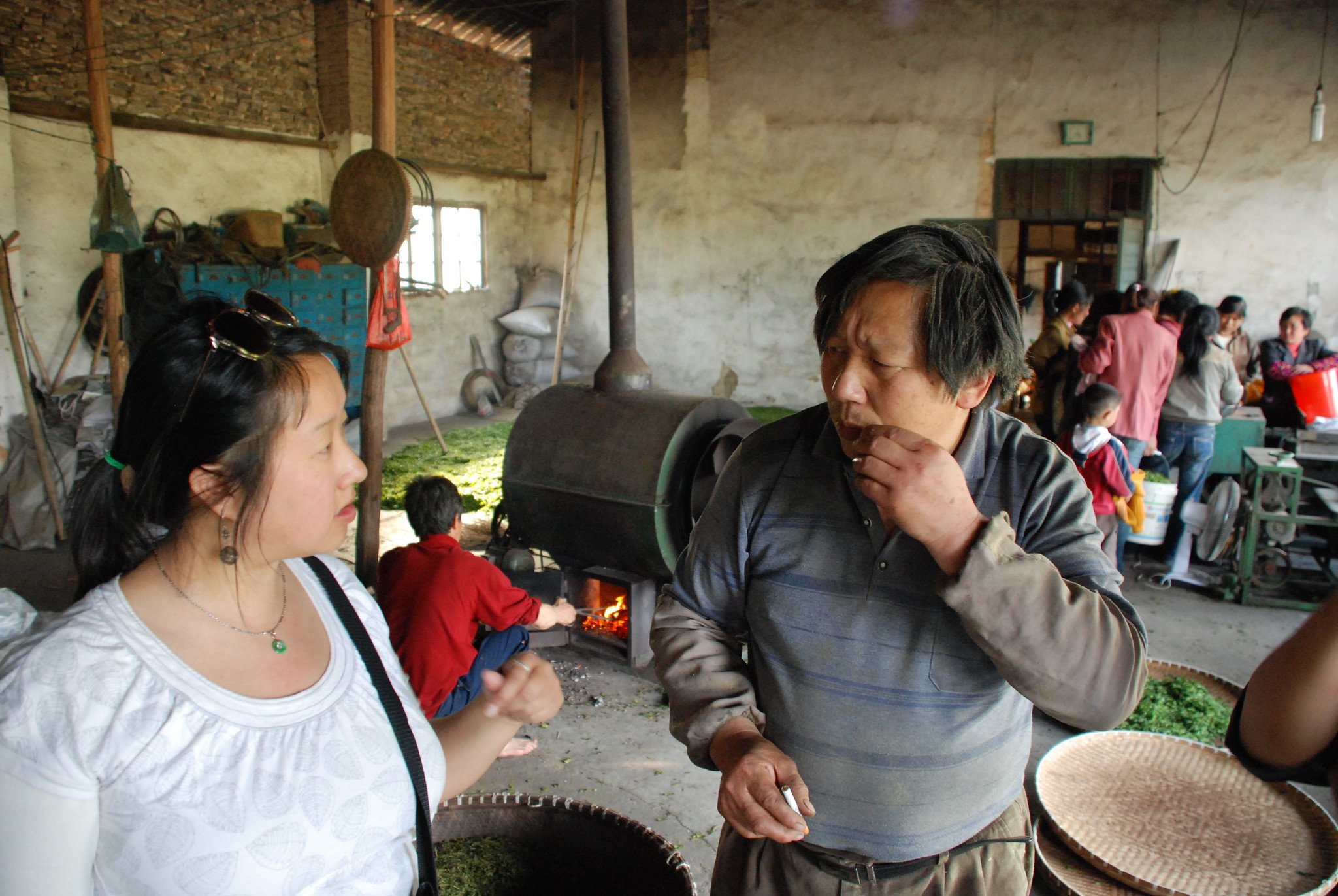Talking with the Tea Production Factory Manager