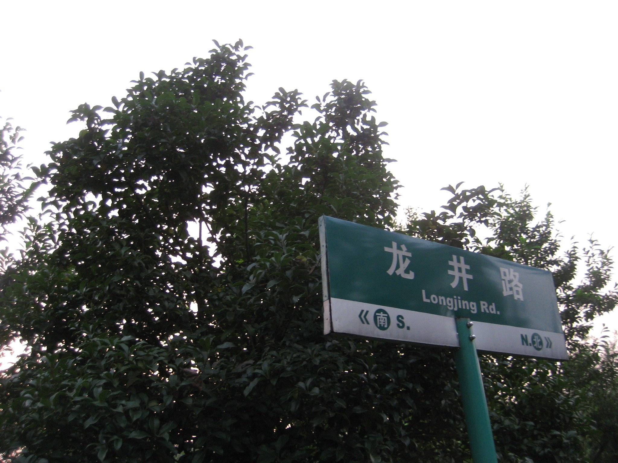 Longjing Tea near Hangzhou3.jpg