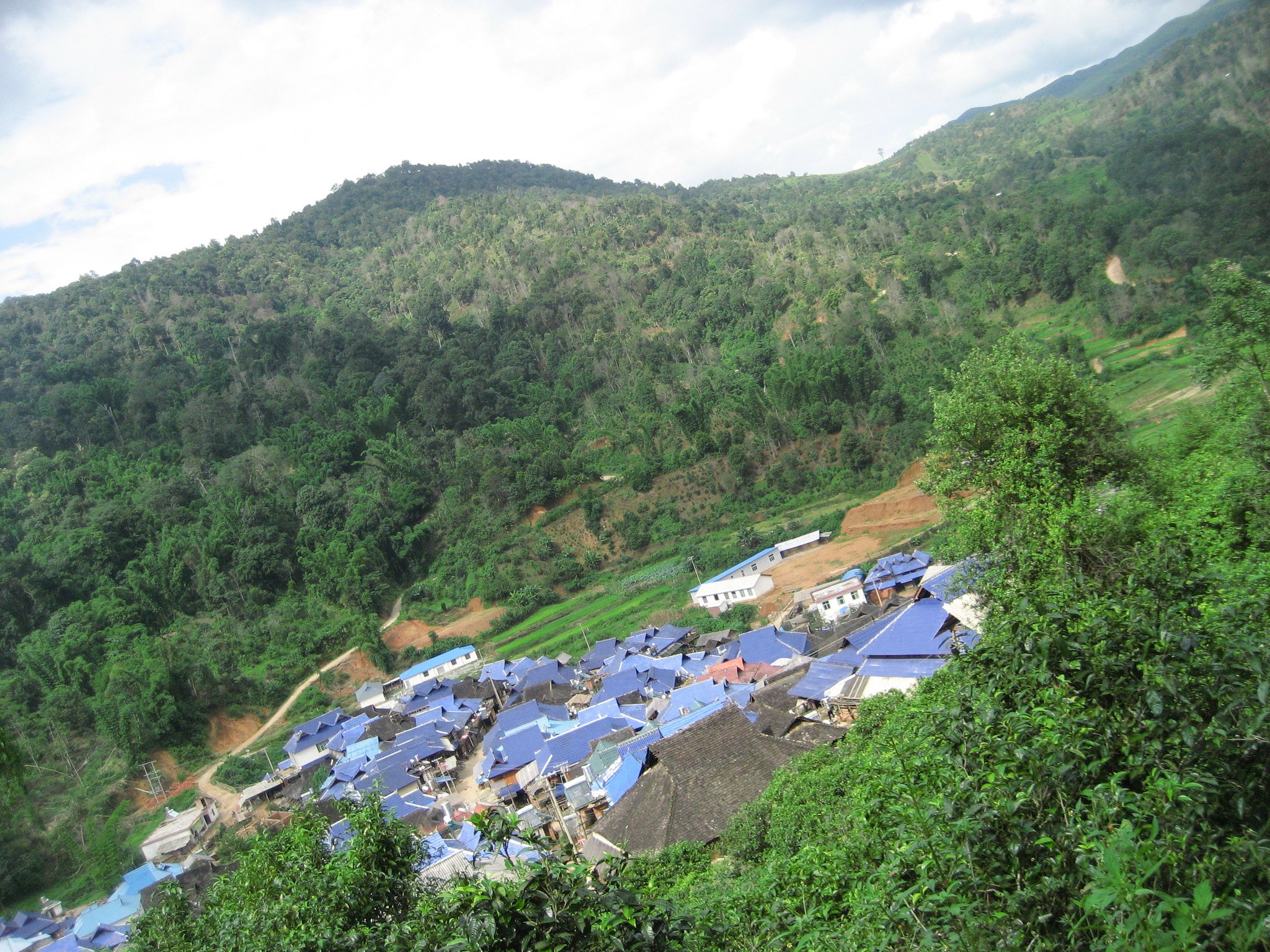 View of a Local Village Near Tea Trees