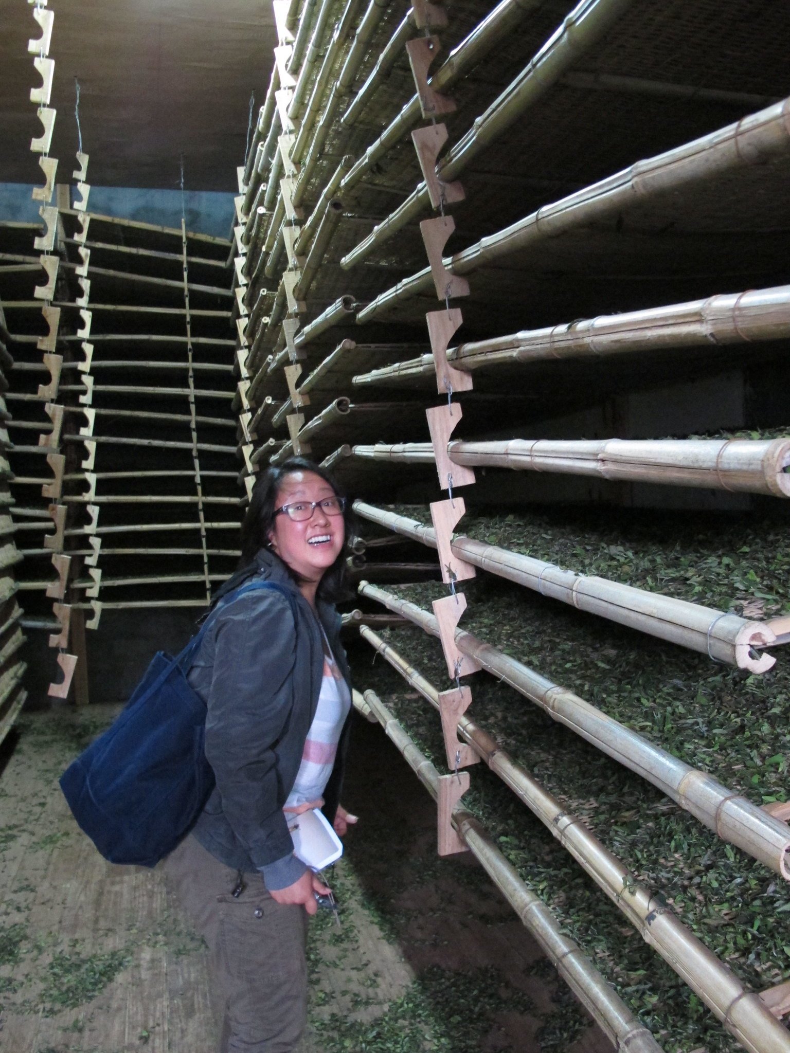 Excited by the Wall of Tea Oxidation