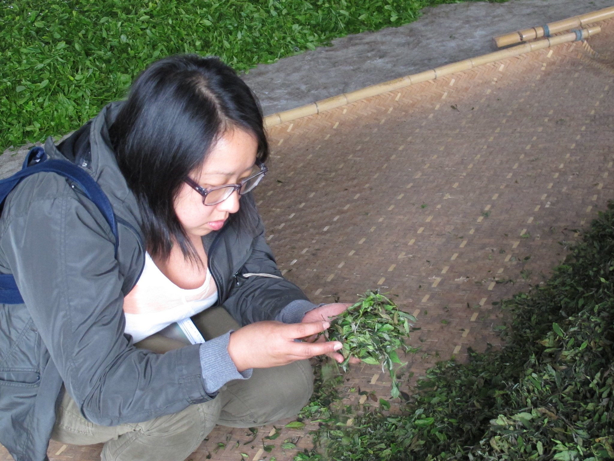 Studying the Tea Leaves as They Say...