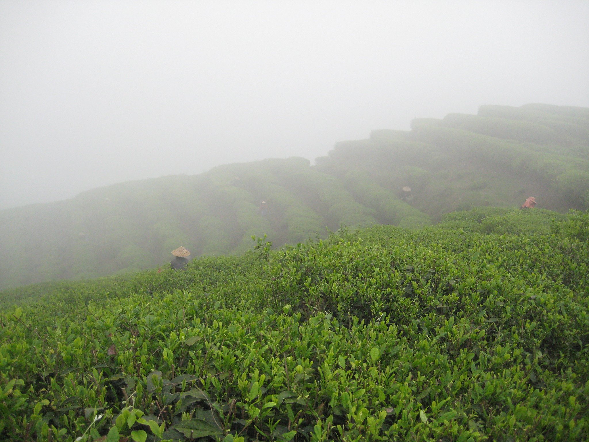  Fuding, Fujian © 2012 Tranquil Tuesdays 