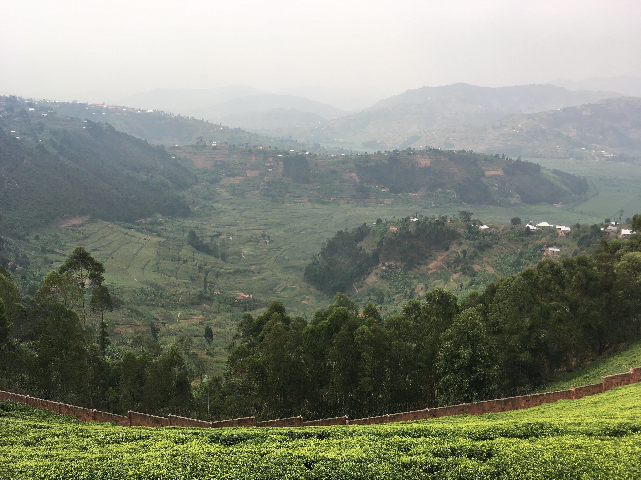  Kinihira, Rwanda © 2018 Tranquil Tuesdays 