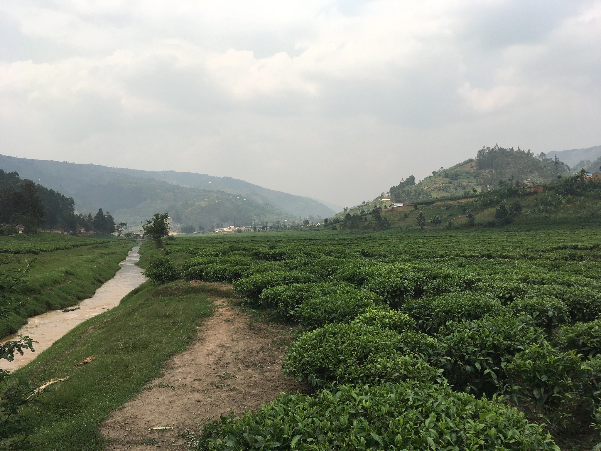  Kinihira, Rwanda © 2018 Tranquil Tuesdays 