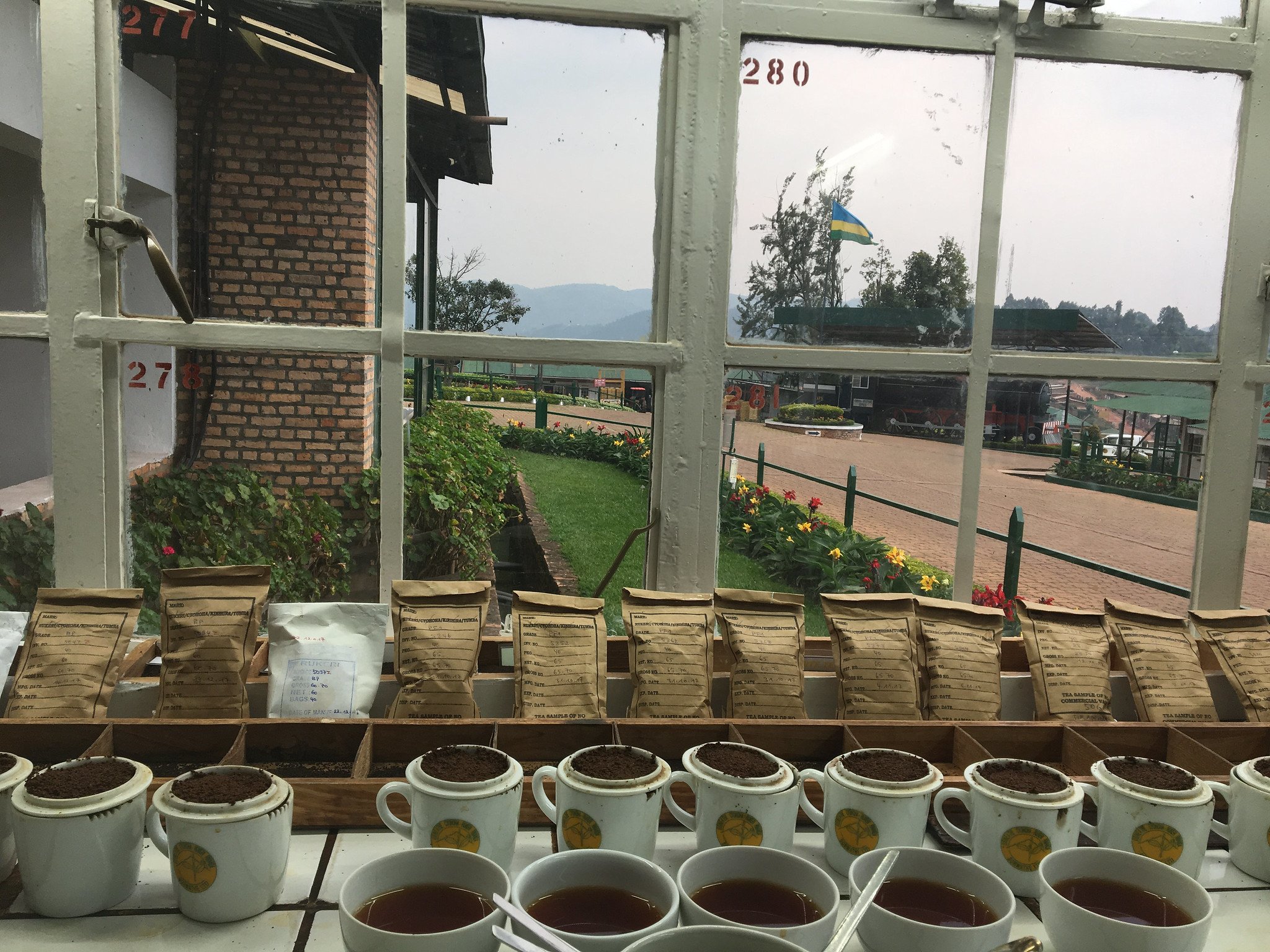 Cupping Teas to Taste for Grading