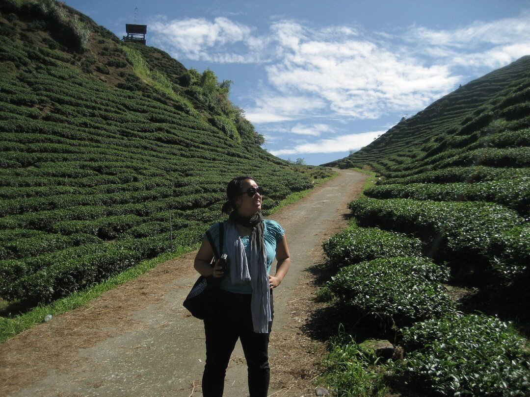 Take a tea adventure to Taiwan&rsquo;s many oolong tea-producing regions during the fall harvest.

Explore photos of a trip we took a few years ago to visit tea growing areas around Taiwan, one of the leading oolong producers in the world. 

For us, 