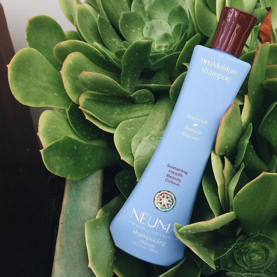 This week's product feature is the Neuma neuMoisture Shampoo.⠀⠀⠀⠀⠀⠀⠀⠀⠀
⠀⠀⠀⠀⠀⠀⠀⠀⠀
I love this shampoo because it hydrates dry, damaged hair and helps to restore moisture balance and resist humidity. (Hello, Summer!)⠀⠀⠀⠀⠀⠀⠀⠀⠀
⠀⠀⠀⠀⠀⠀⠀⠀⠀
The results? It 