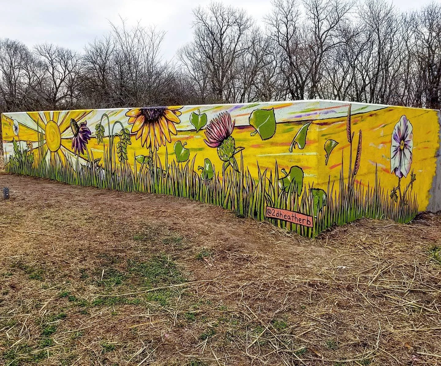 Pawnee Prairie Park Mural 
2625 S Tyler Rd (marker W16) 
February 2020 
5' x 57' 
 
Surrounded by the native beauty along the nature trail, this mural celebrates Kansas' natural history. It features 8 native plants: Prickly Poppy, Blue Grama, Prairie