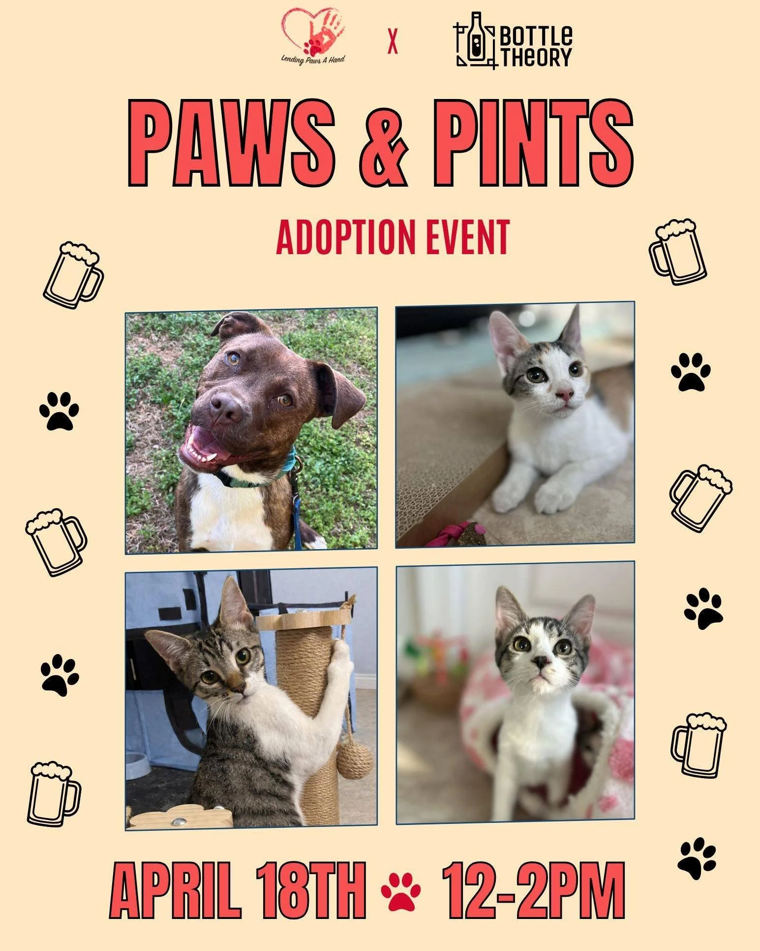 PAWS &amp; PINTS ADOPTION EVENT 🍺 🐶
Happening this Saturday from 12-2pm, @lendingpawsahand will be at the shop with some of the cutest and most adoptable furry friends! 

Select draft pours will also be $6. See you on Saturday! 😻