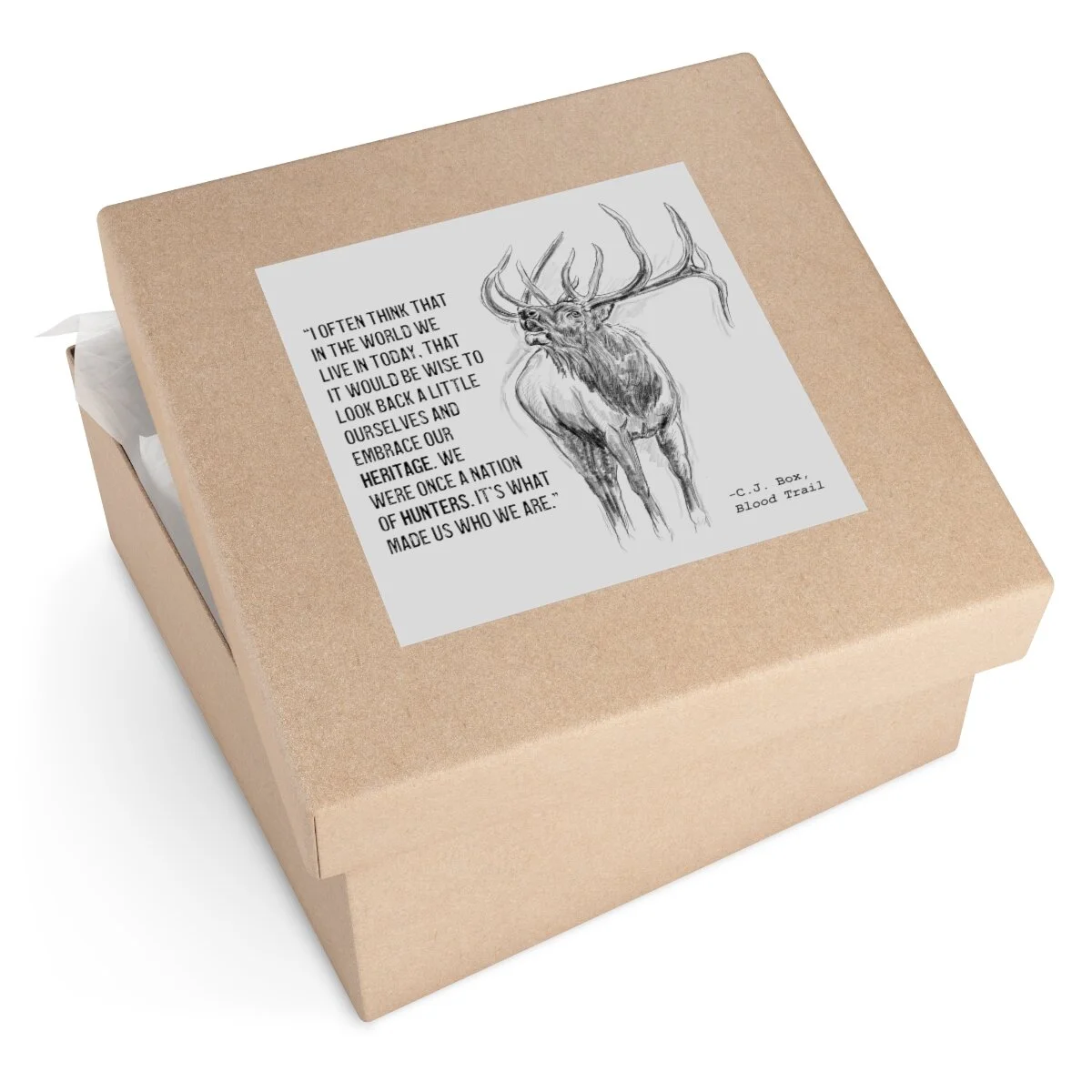 71acb804552054a7cfdccb1568167304