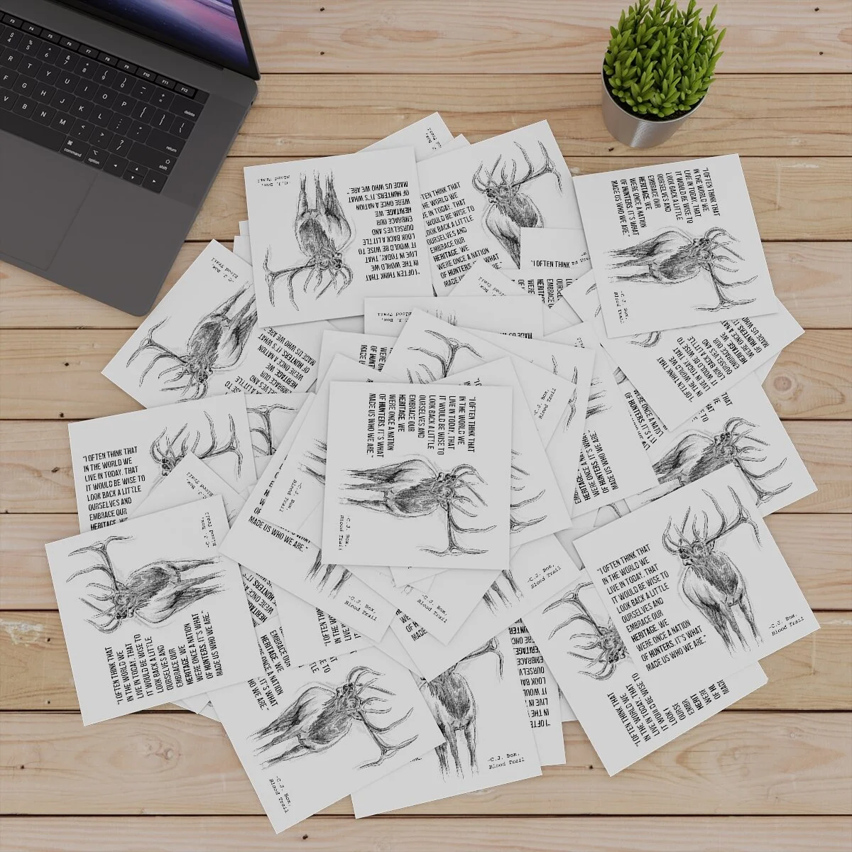 51c0aba51279e72560479d42657159e4