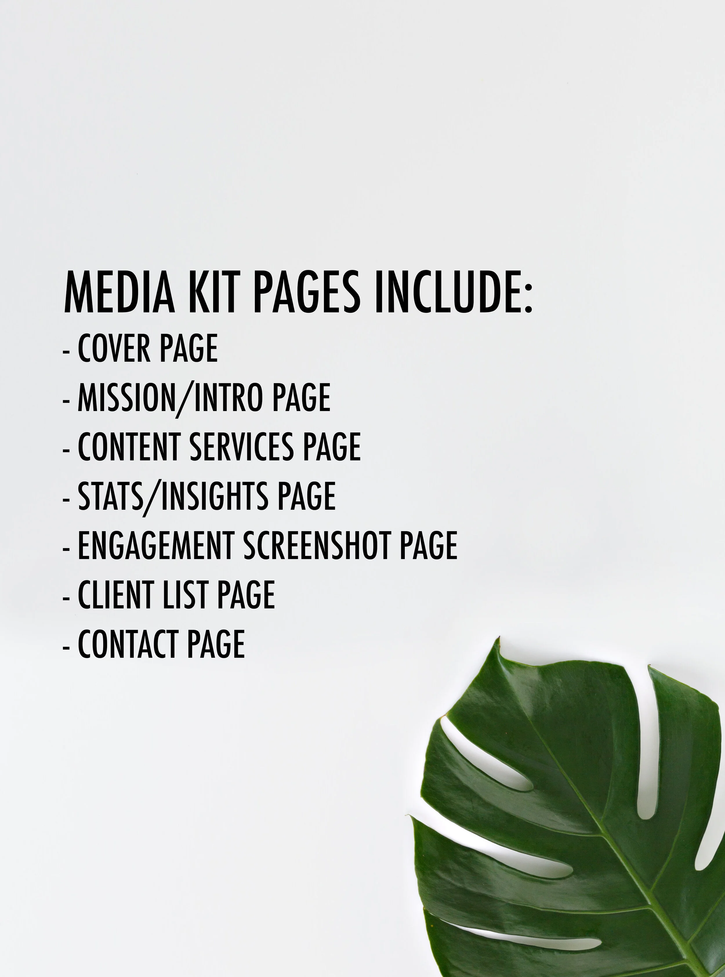 Instagram Media Kit Template Beautiful Design FREE 3.jpg