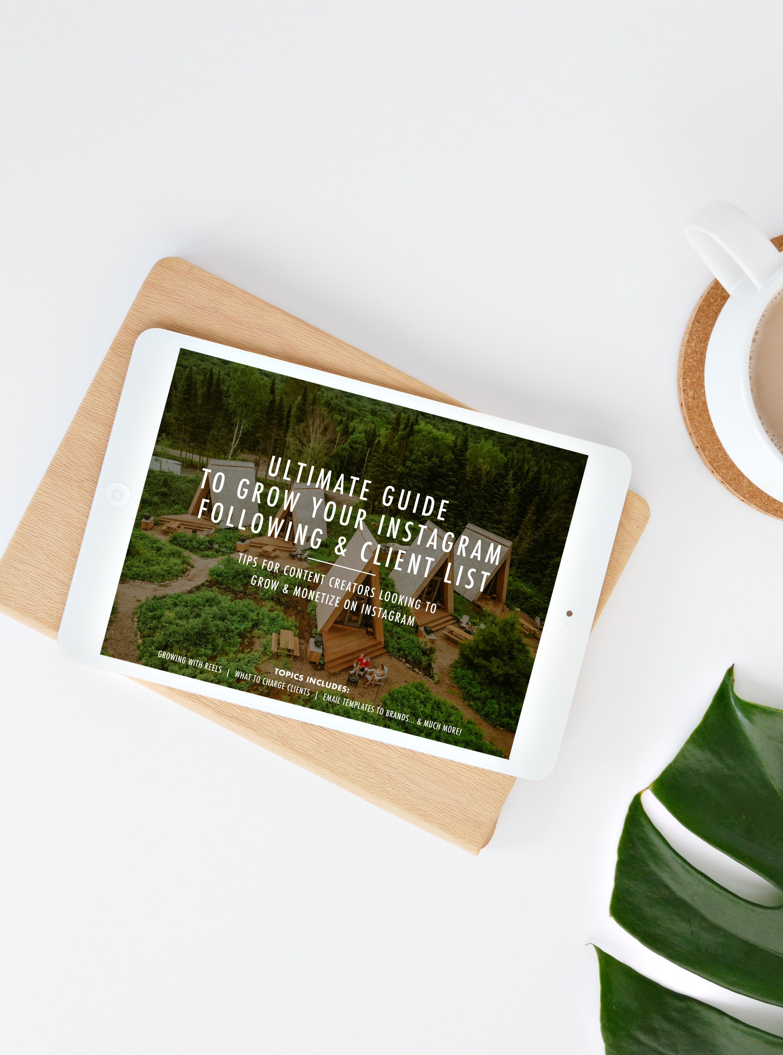 Grow your Instagram and Client List Ebook - Image 1.jpg