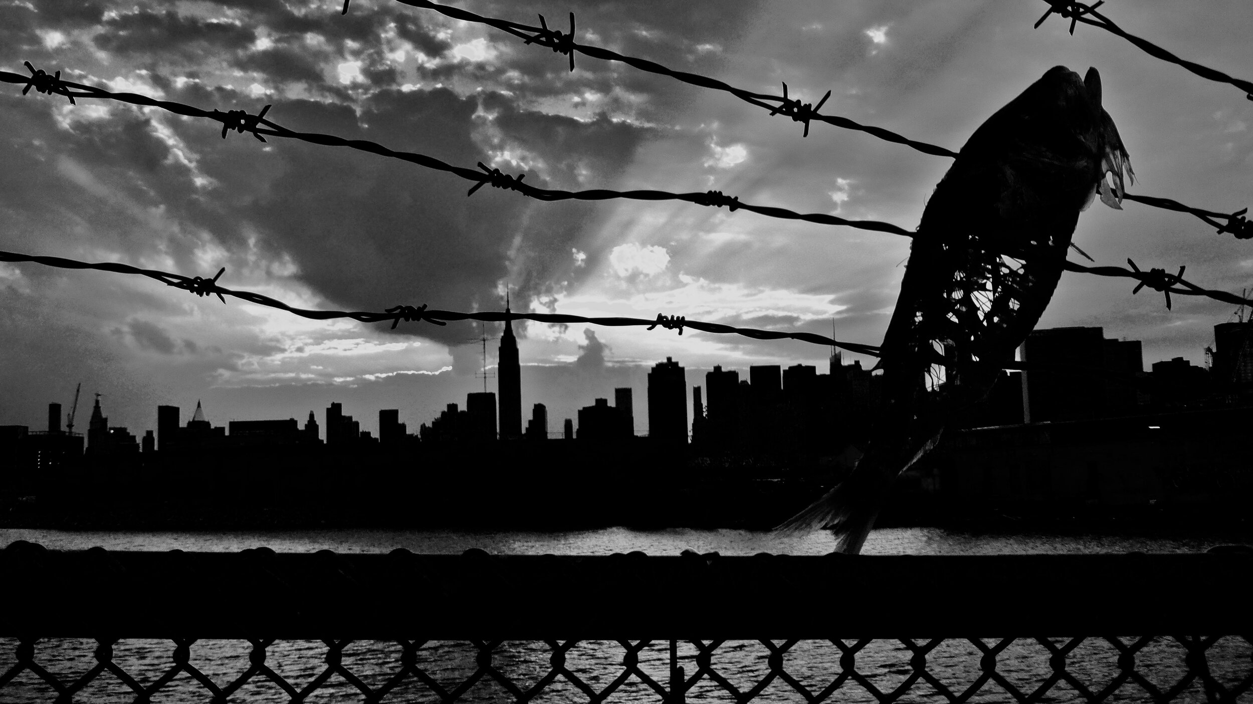 P1090241.jpeg
